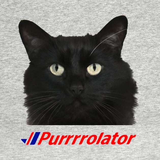 Purrolator Cat Meme by Arnieduke